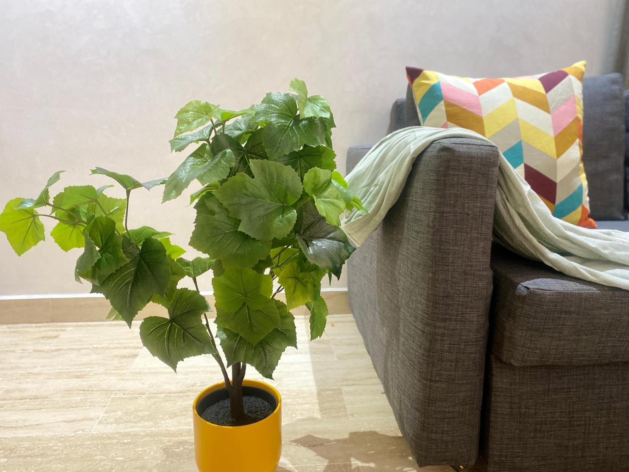 Superbe Appartement Tres Bien Situe Welcome Stay Casablanca Zewnętrze zdjęcie